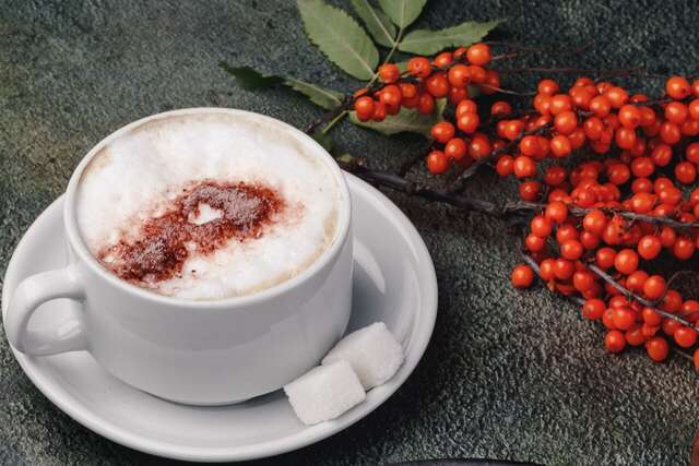 Гостиница Дискавери Новосибирск-115